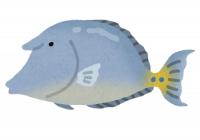 魚