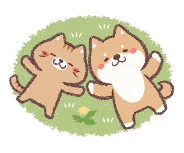 猫と犬